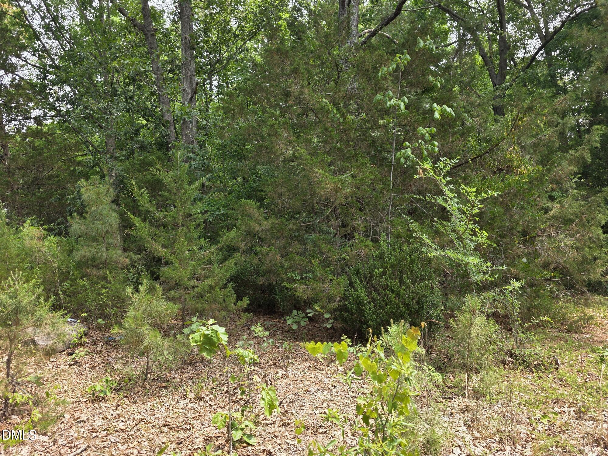 4901 Bluebird House Lane Raleigh, NC 27616 - Photo 9 of 10