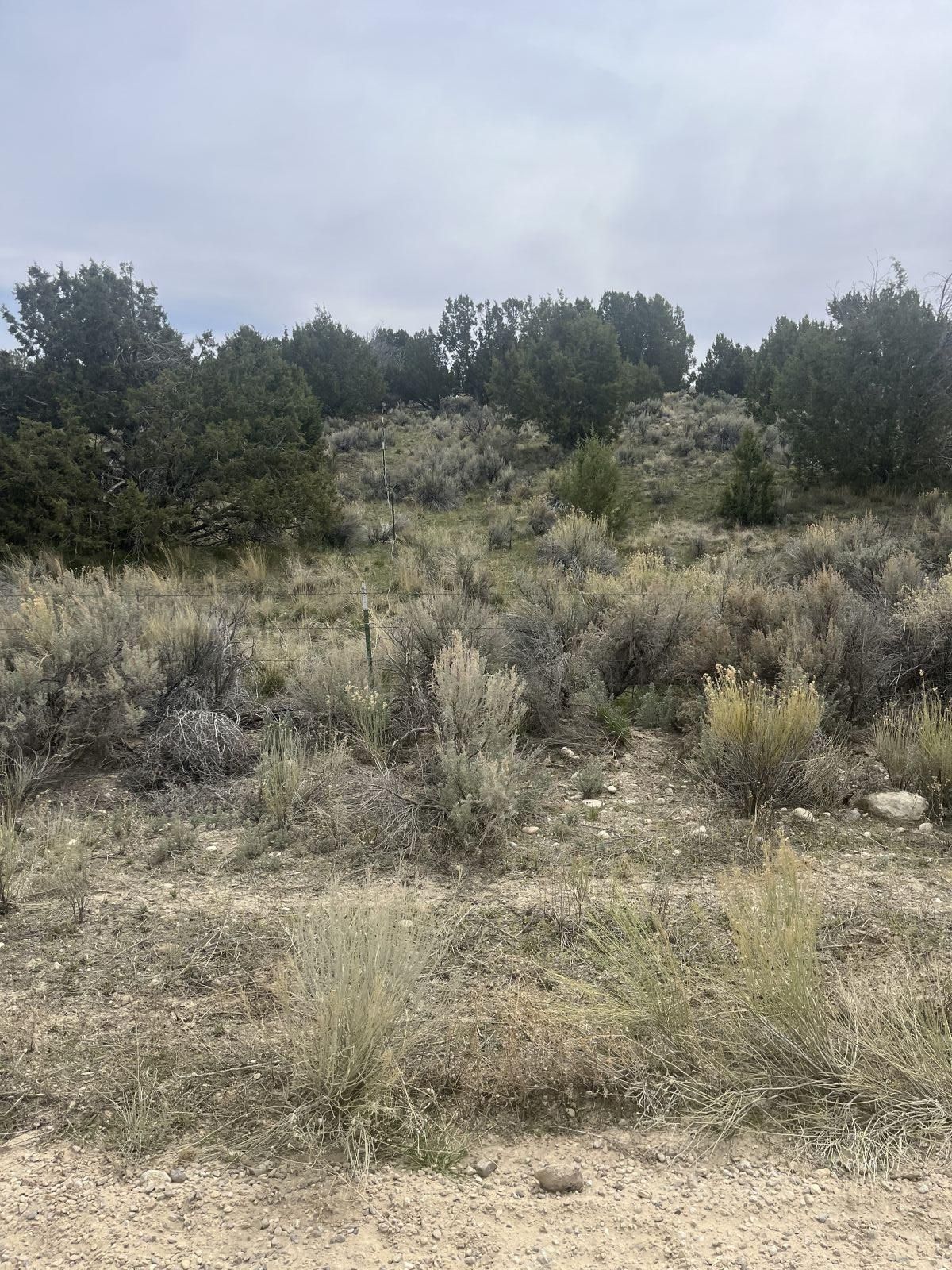 Lower Lamoille/hog Tommy Rd Spring Creek Spring Creek, NV 89815 - Photo 5 of 9