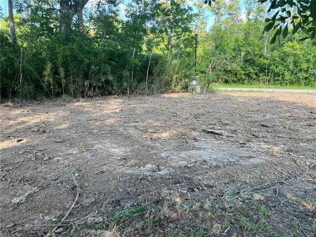 Lot 58 Swamp Drive Springfield, LA 70462 - Photo 2 of 13