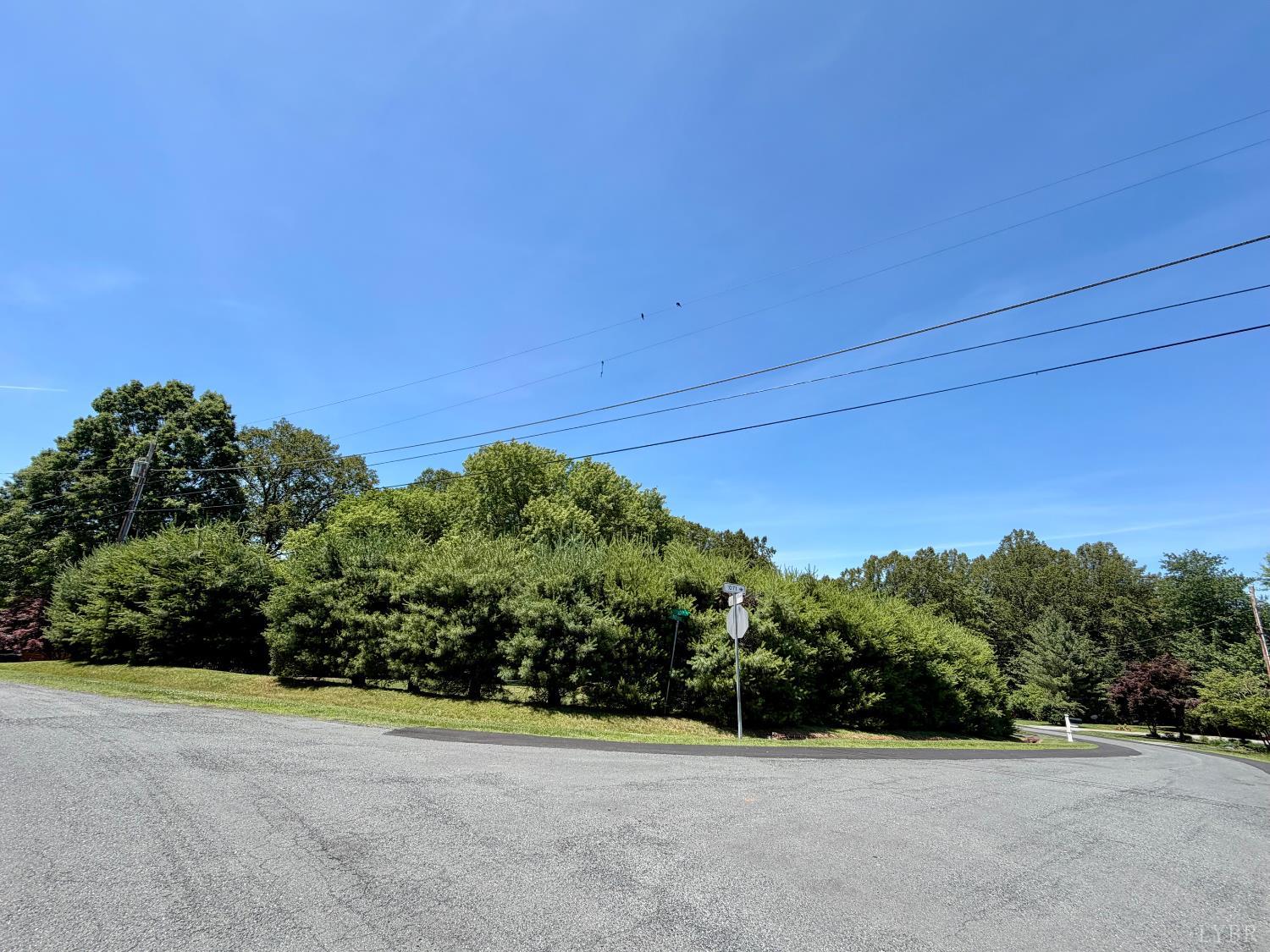 113 River Ridge Road Madison Heights, VA 24572 - Photo 53 of 55
