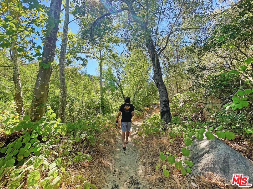 41322 De Luz Road, Unit 15 Fallbrook, CA 92028 - Photo 18 of 24 a view of a garden