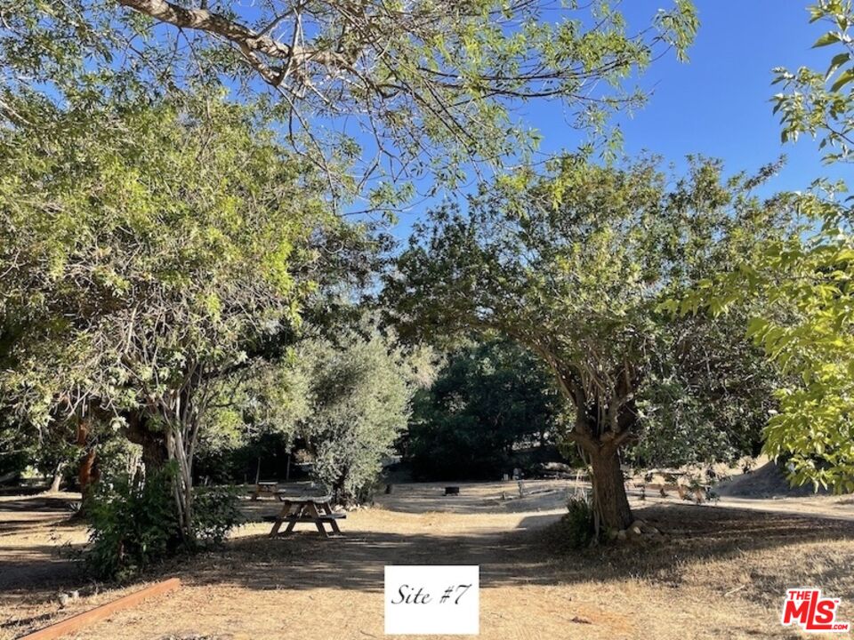 41322 De Luz Road, Unit 15 Fallbrook, CA 92028 - Photo 9 of 24 a view of park with tree