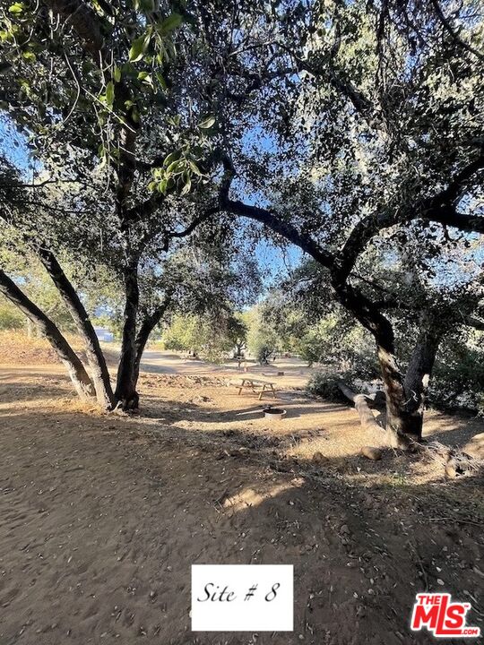 41322 De Luz Road, Unit 15 Fallbrook, CA 92028 - Photo 10 of 24 a view of yard with trees