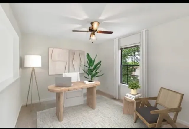 a living room with furniture a window and a potted plant