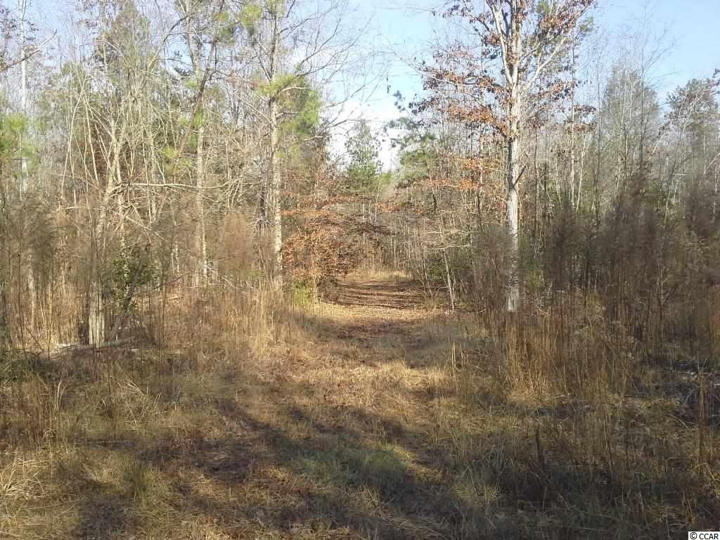 6758 Hightower Road Great Falls, SC 29055 - Photo 11 of 25 Gallery Image 11