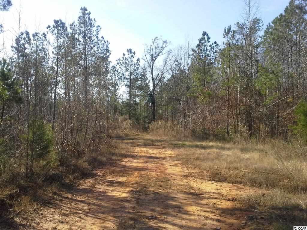 6758 Hightower Road Great Falls, SC 29055 - Photo 16 of 25 Gallery Image 16