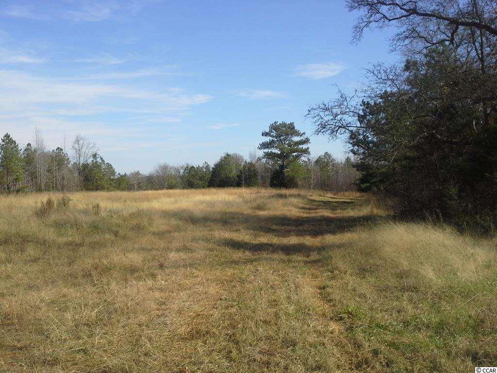 6758 Hightower Road Great Falls, SC 29055 - Photo 17 of 25 Gallery Image 17