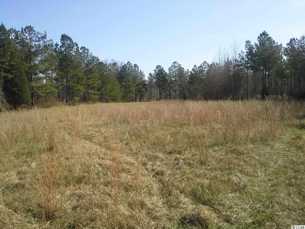 6758 Hightower Road Great Falls, SC 29055 - Photo 18 of 25 Gallery Image 18