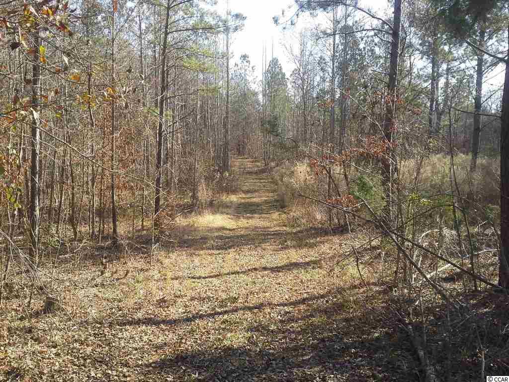 6758 Hightower Road Great Falls, SC 29055 - Photo 19 of 25 Gallery Image 19