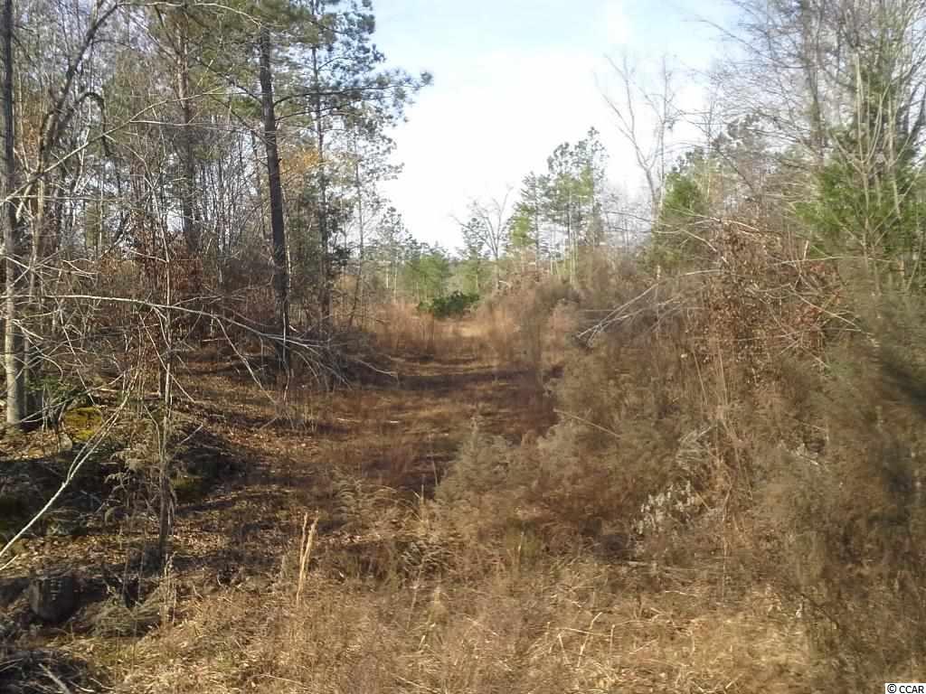 6758 Hightower Road Great Falls, SC 29055 - Photo 23 of 25 Gallery Image 23