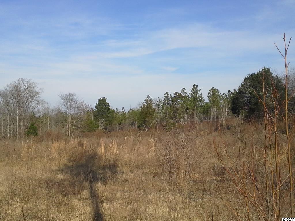 6758 Hightower Road Great Falls, SC 29055 - Photo 24 of 25 Gallery Image 24