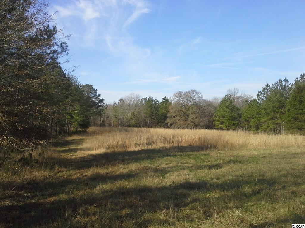 6758 Hightower Road Great Falls, SC 29055 - Photo 25 of 25 Gallery Image 25