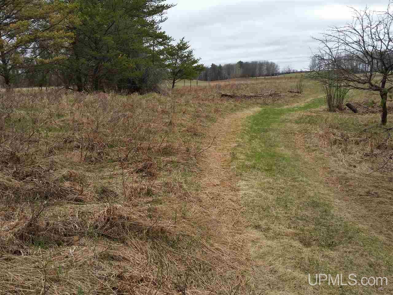 1206 Ball Road Vulcan, MI 49892 - Photo 18 of 25