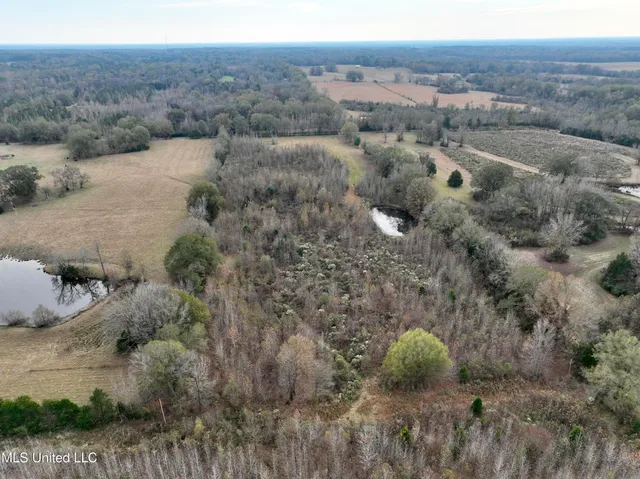 $75,000 | 1 Brown Road, Canton, MS 39046