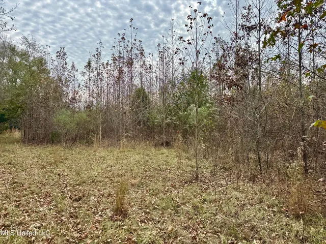 $75,000 | 1 Brown Road, Canton, MS 39046