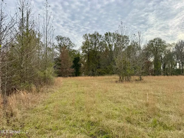 $75,000 | 1 Brown Road, Canton, MS 39046