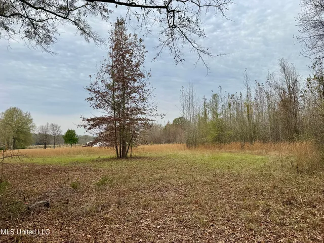 $75,000 | 1 Brown Road, Canton, MS 39046