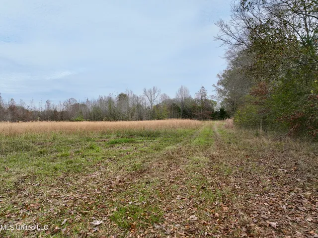 $75,000 | 1 Brown Road, Canton, MS 39046