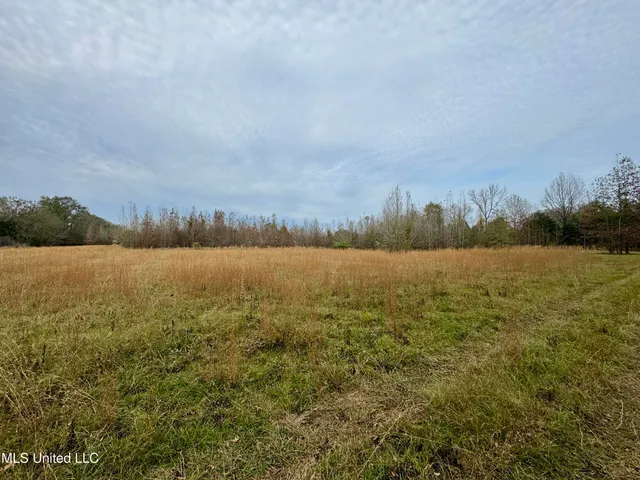 $75,000 | 1 Brown Road, Canton, MS 39046