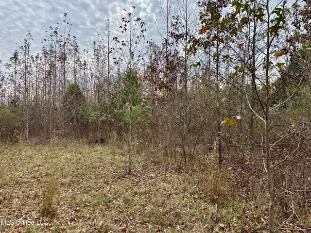 $75,000 | 1 Brown Road, Canton, MS 39046