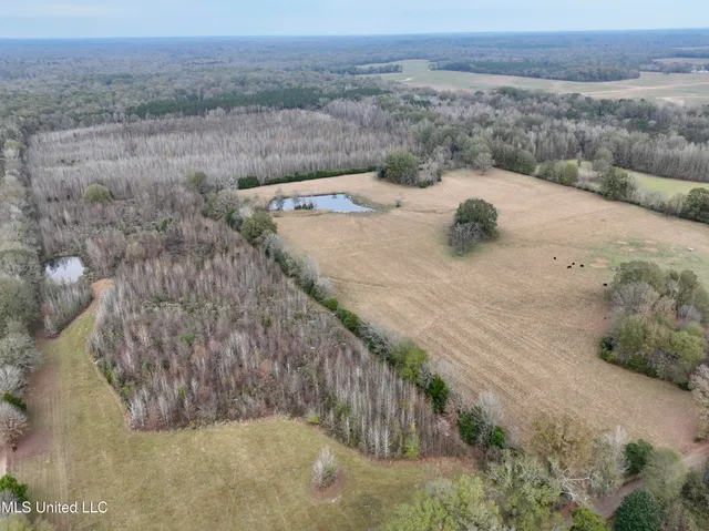 $75,000 | 1 Brown Road, Canton, MS 39046