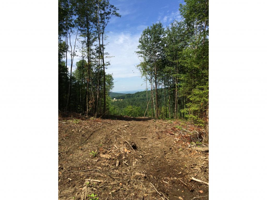 22 A Pearl Lake Road Landaff, NH 03585 - Photo 5 of 8