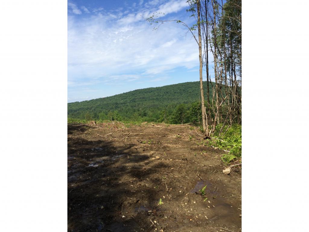 22 A Pearl Lake Road Landaff, NH 03585 - Photo 6 of 8