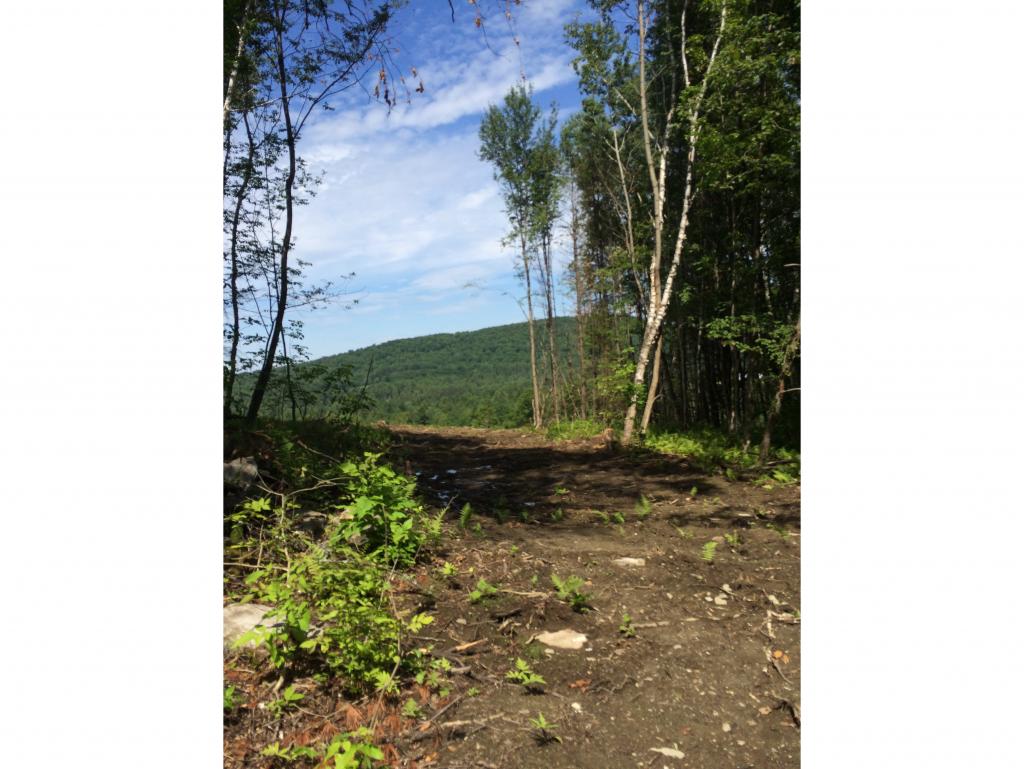 22 A Pearl Lake Road Landaff, NH 03585 - Photo 7 of 8