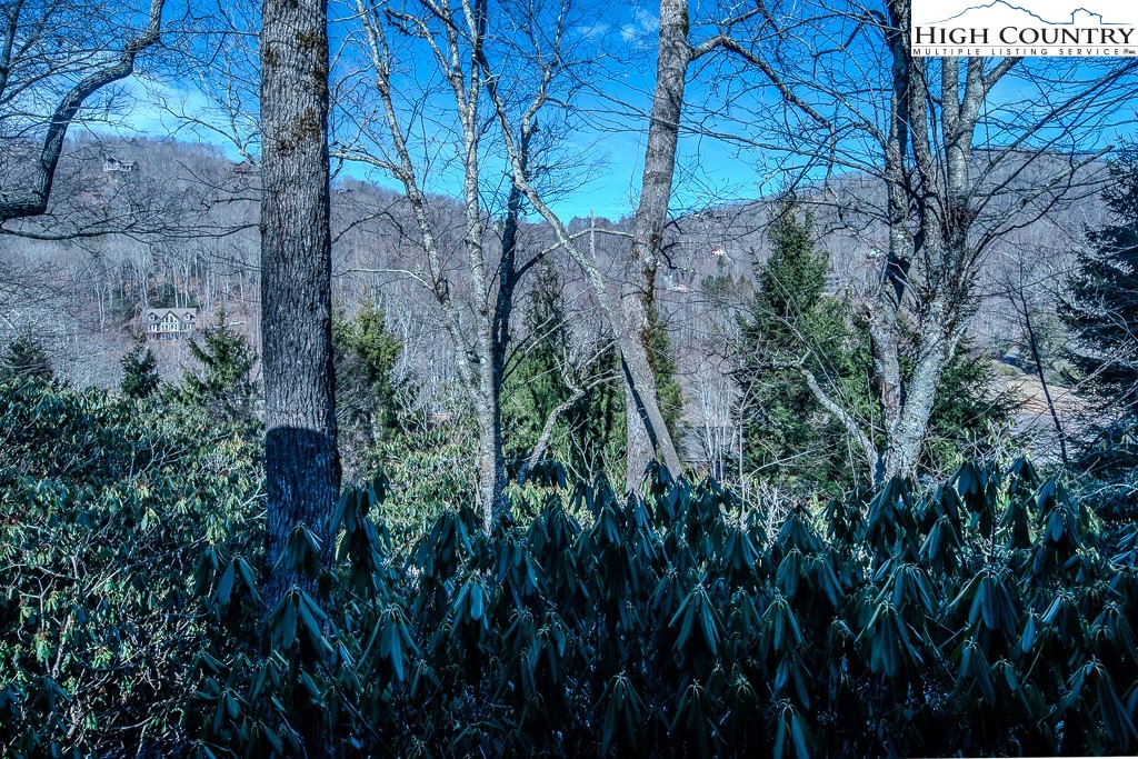 182 Streamside Lane Seven Devils, NC 28604 - Photo 37 of 48