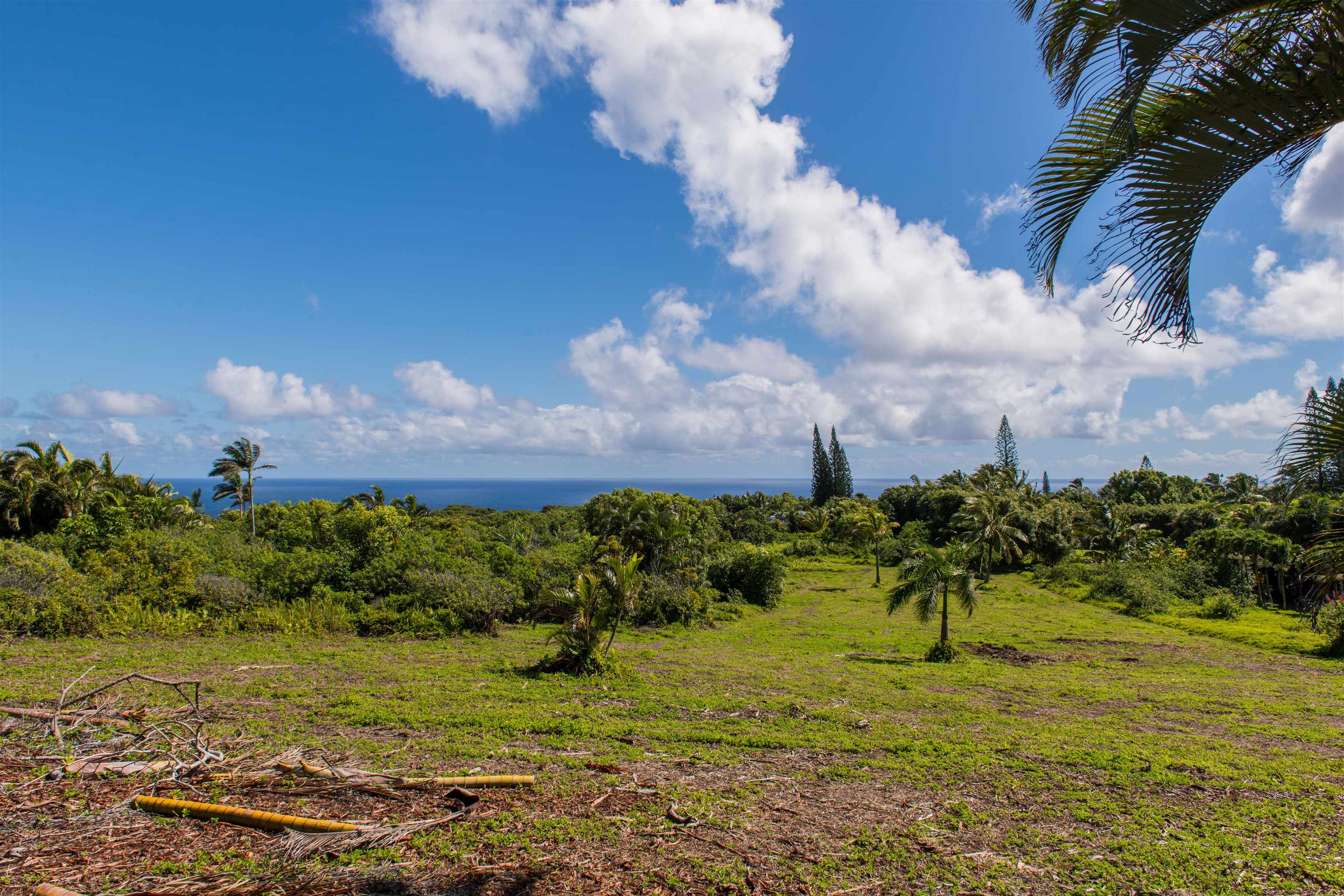 601 North Honokala Road, Unit A Haiku, HI 96708 - Photo 16 of 26