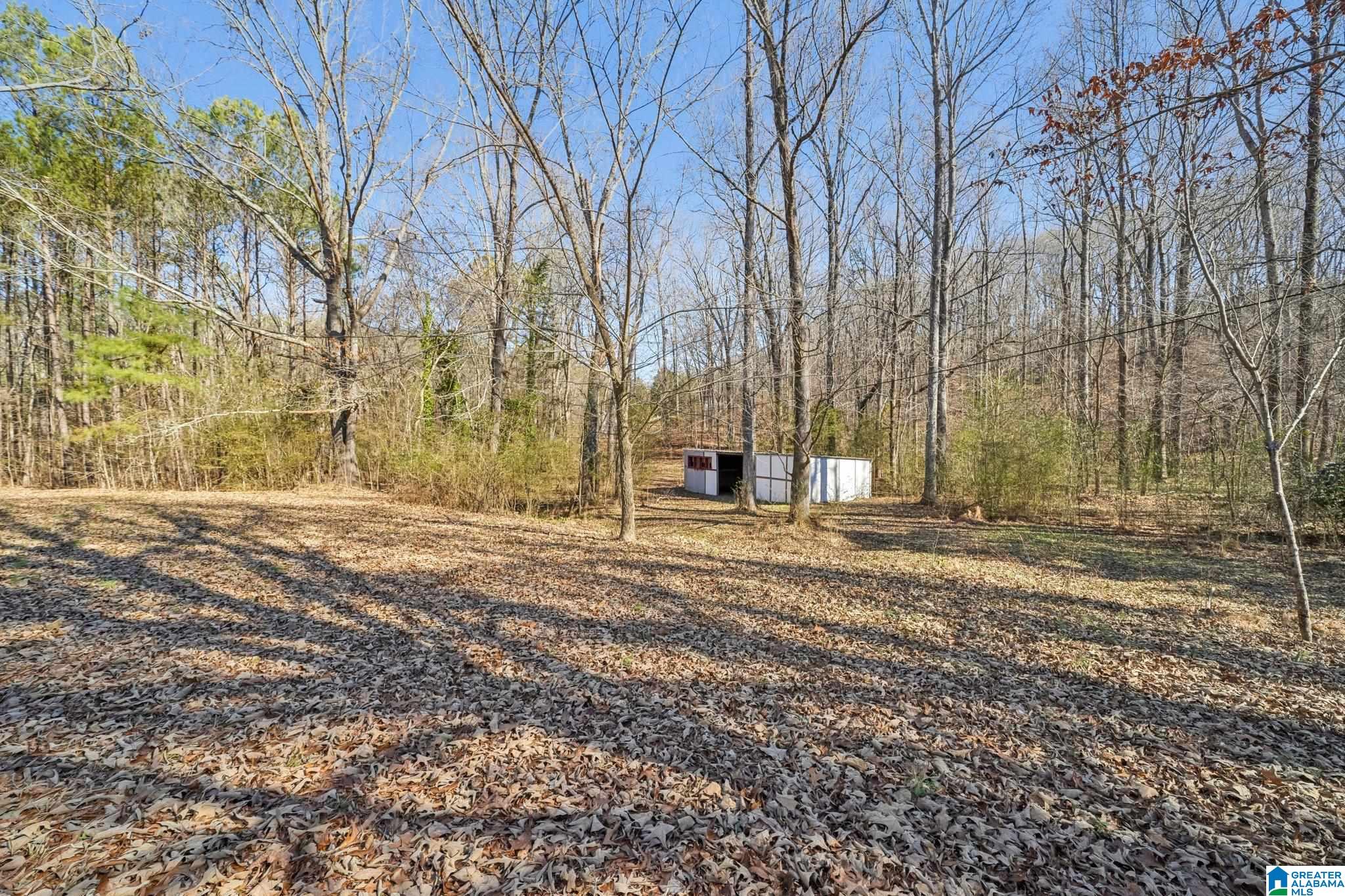8491 Clayton Cove Road Springville, AL 35146 - Photo 24 of 42