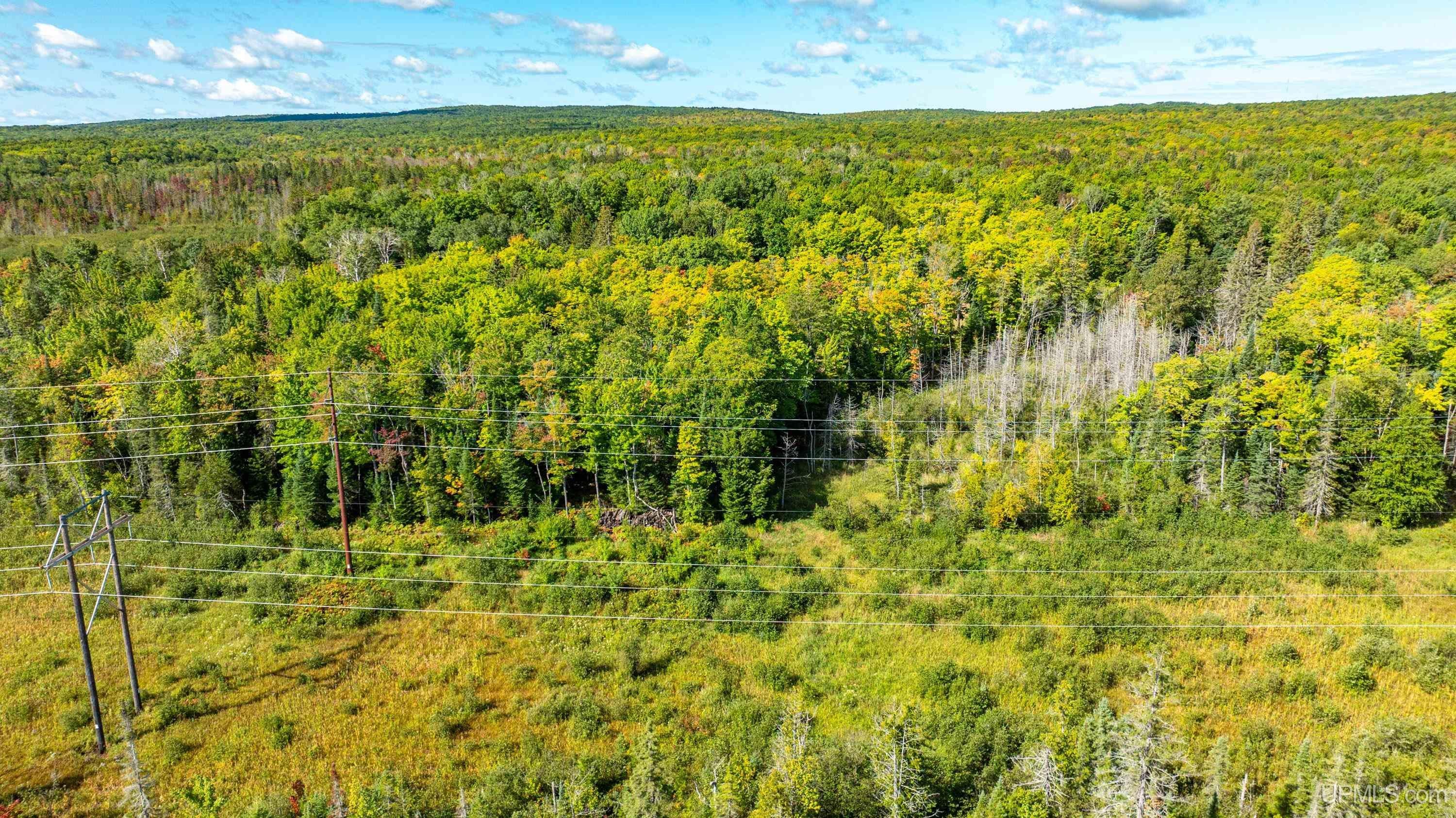 Tbd Tapiola Road Chassell, MI 49916 - Photo 25 of 39 Gallery Image 25