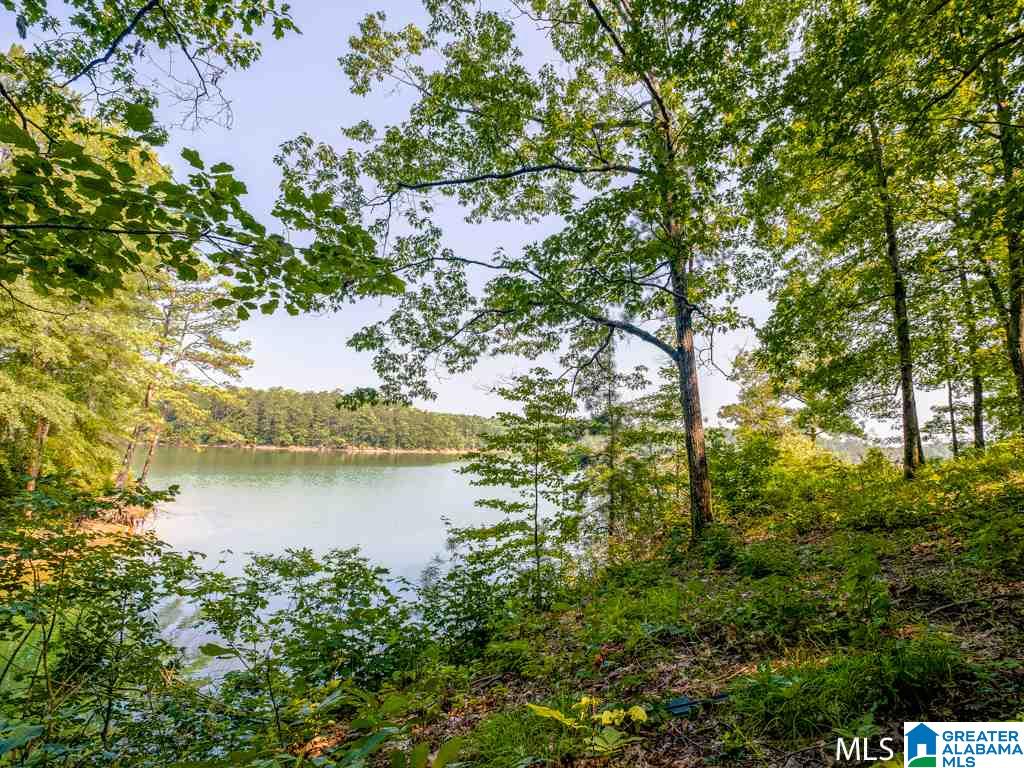 Long Leaf Road, Unit 9 Double Springs, AL 35553 - Photo 4 of 15
