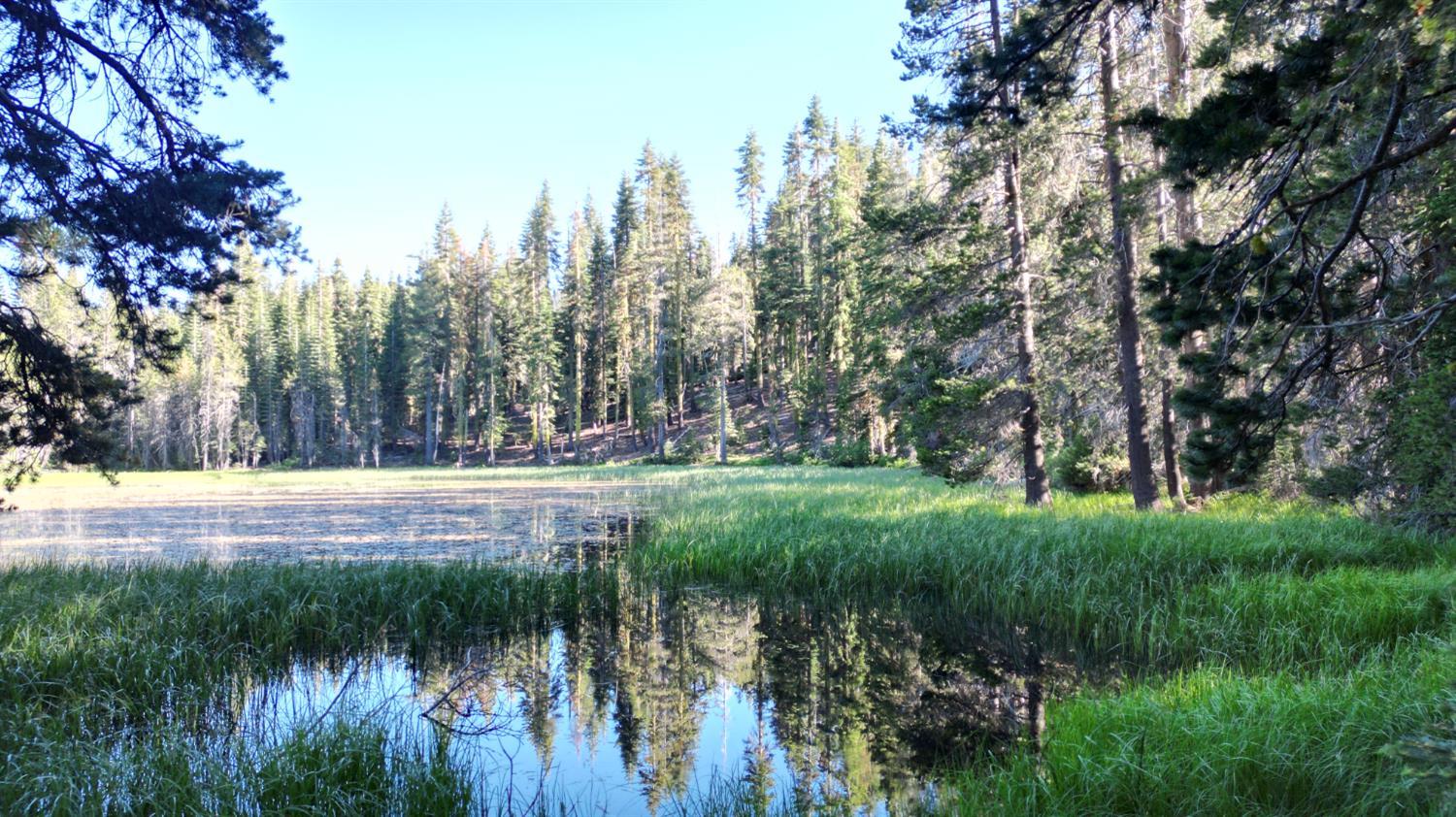 0 Forest 41 Road Sierra City, CA 96125 - Photo 1 of 30 a view of lake with green space