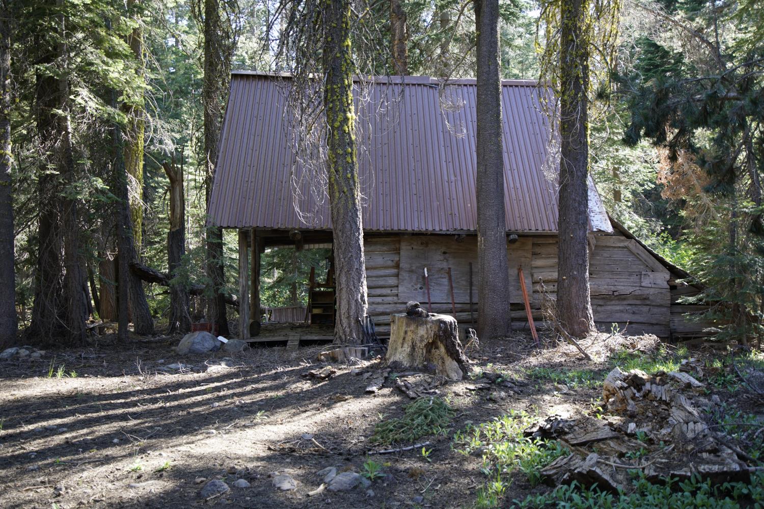0 Forest 41 Road Sierra City, CA 96125 - Photo 21 of 30 a front view of a house with garden