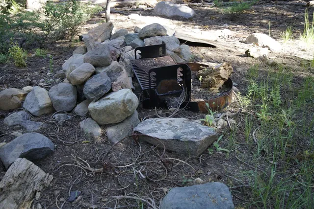 $299,000 | 0 Forest 41 Road, Sierra City, CA 96125