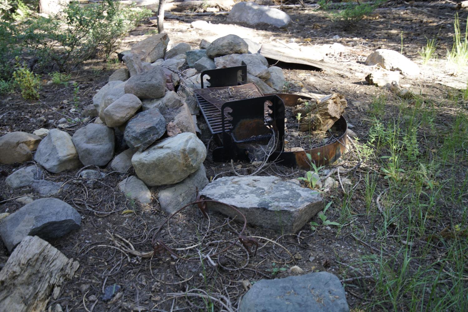 0 Forest 41 Road Sierra City, CA 96125 - Photo 22 of 30 a backyard of a house with lots of green space