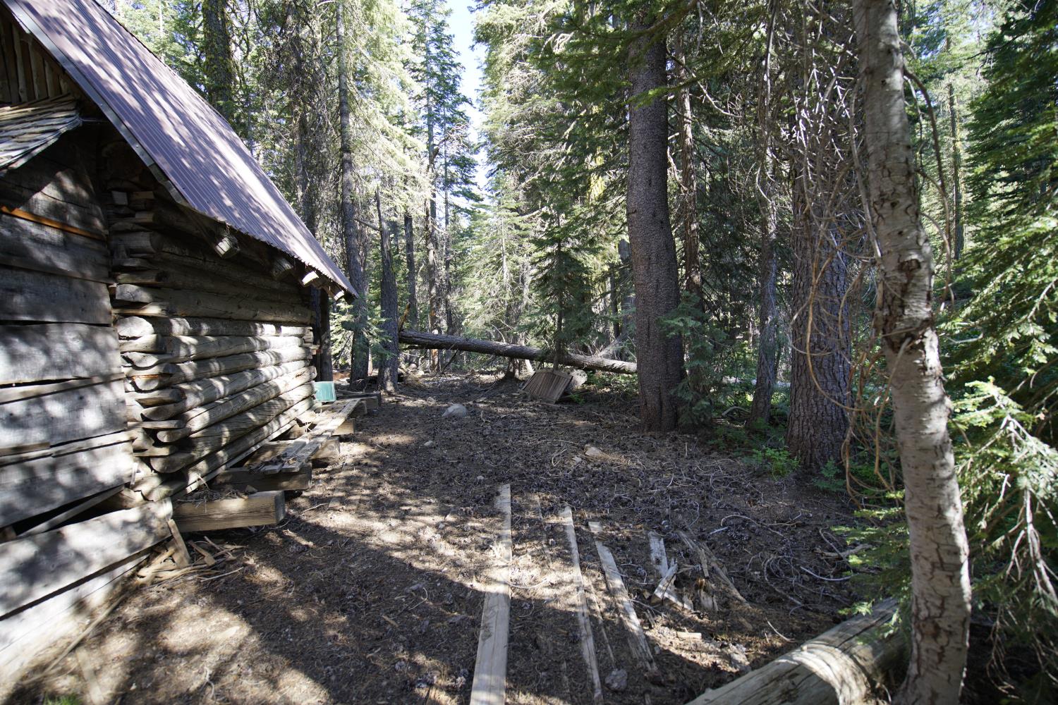 0 Forest 41 Road Sierra City, CA 96125 - Photo 26 of 30 a view of backyard with green space