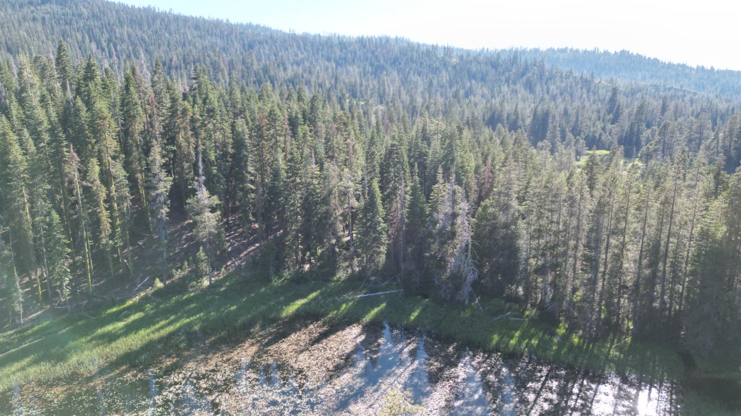0 Forest 41 Road Sierra City, CA 96125 - Photo 30 of 30 a view of a yard with a wooden fence