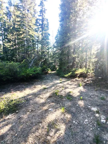 $299,000 | 0 Forest 41 Road, Sierra City, CA 96125