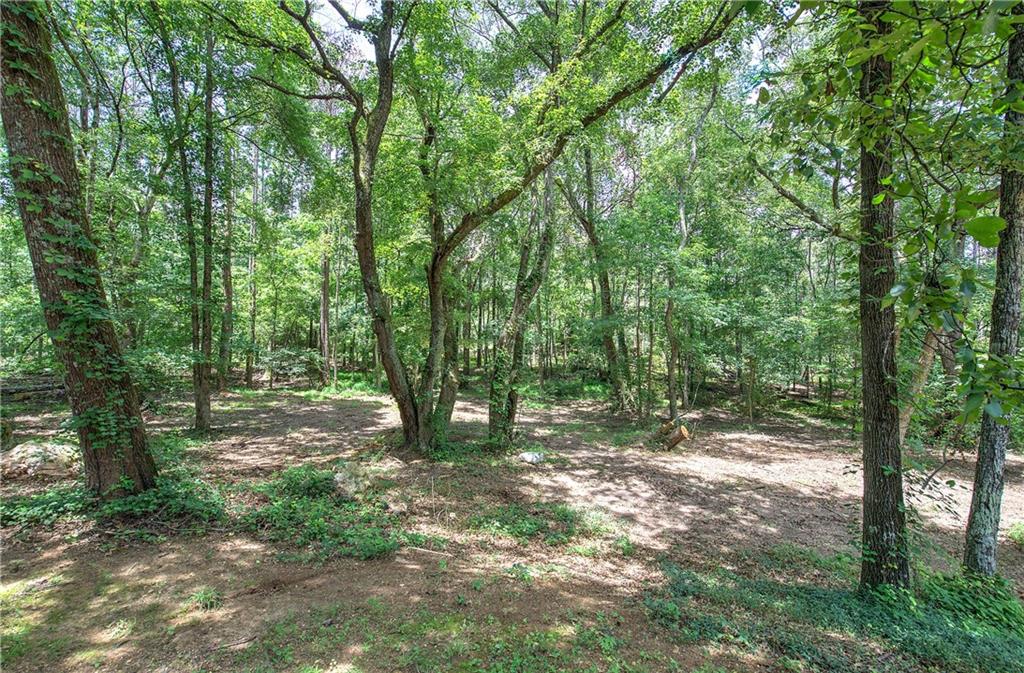 80 Iron Hill Road Taylorsville, GA 30178 - Photo 11 of 37