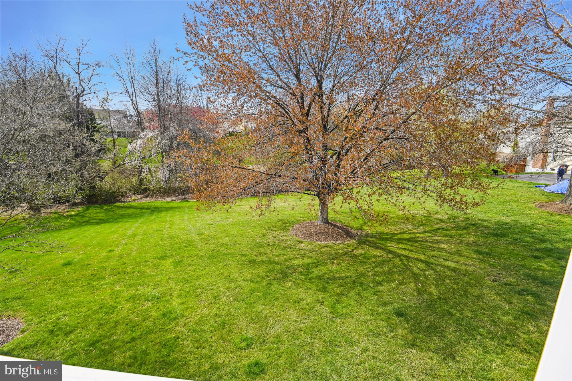 1702 Raleigh Hill Road Vienna, VA 22182 - Photo 48 of 60 View