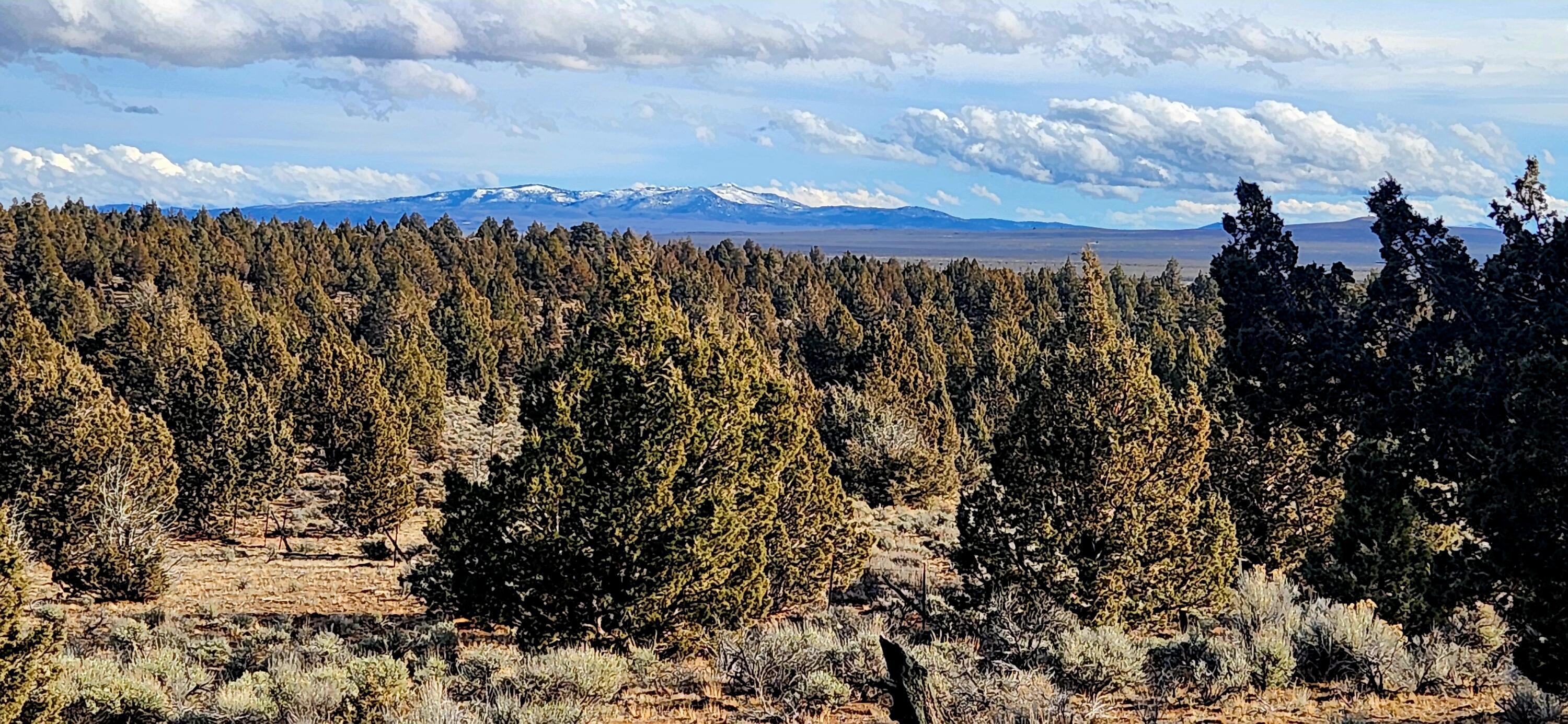 Merrill Road, Unit TL 1800 Prineville, OR 97754 - Photo 5 of 16 320ac_Img1