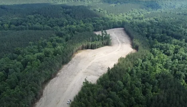 a view of a forest with a dry yard