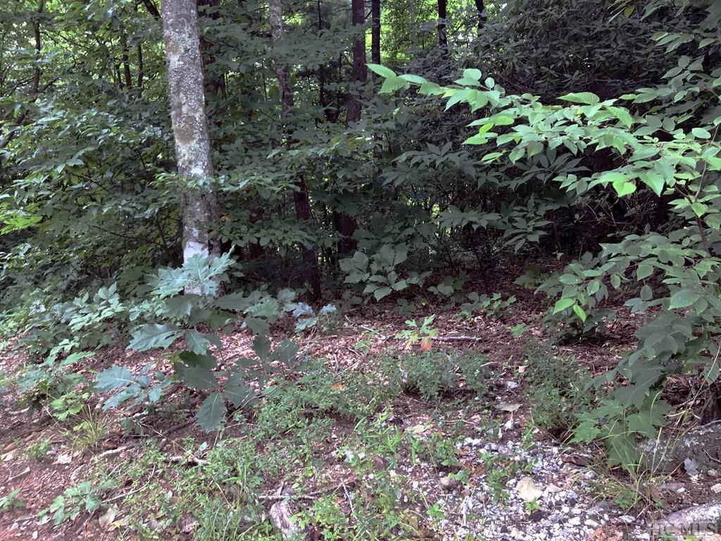 Lot 2 Grouse Ridge Lane Brevard, NC 28712 - Photo 6 of 10 Gallery Image 6