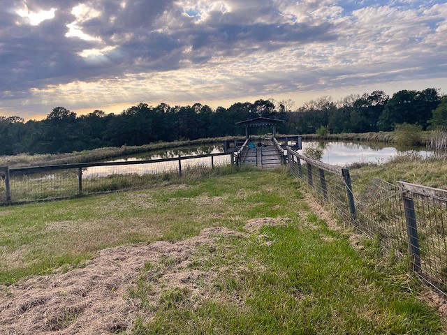 570 Four Notch Road Huntsville, TX 77340 - Photo 21 of 29
