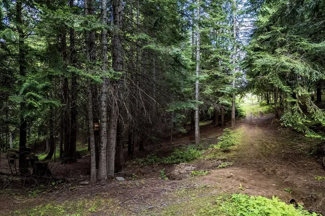 $3,800,000 | 26515-26419 East Timberwolf Lane, Newman Lake, WA 99025