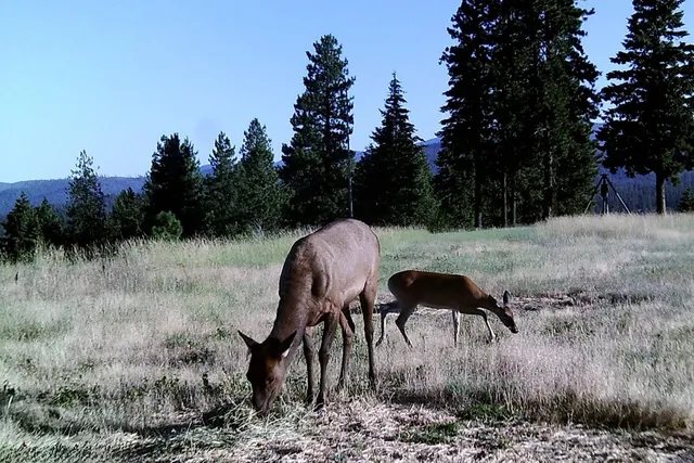 $3,800,000 | 26515-26419 East Timberwolf Lane, Newman Lake, WA 99025