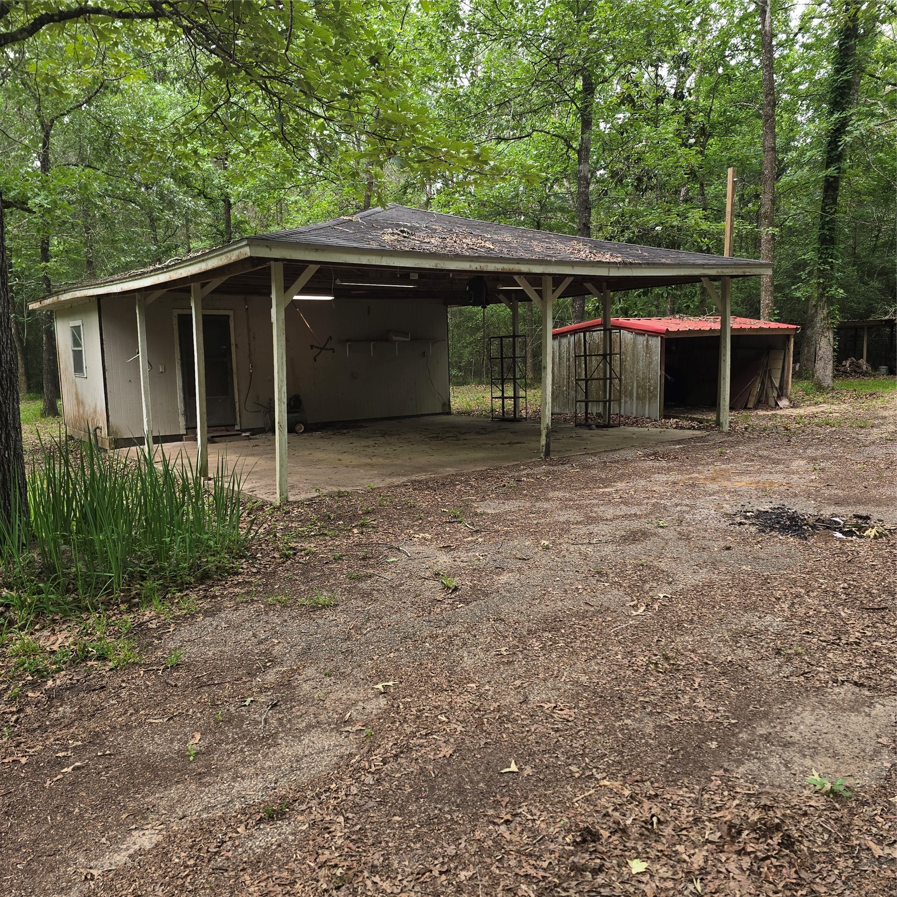 910 Ragsdale Springs Road Shepherd, TX 77371 - Photo 20 of 32