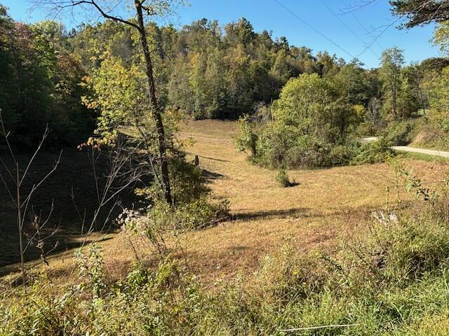 1 Mayers Road Booneville, KY 41314 - Photo 6 of 13 4